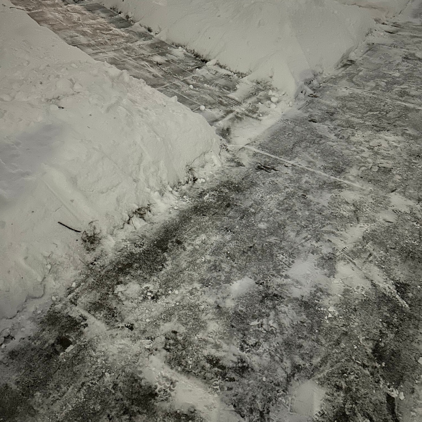 Ferndale Seasonal Brand Identity 1