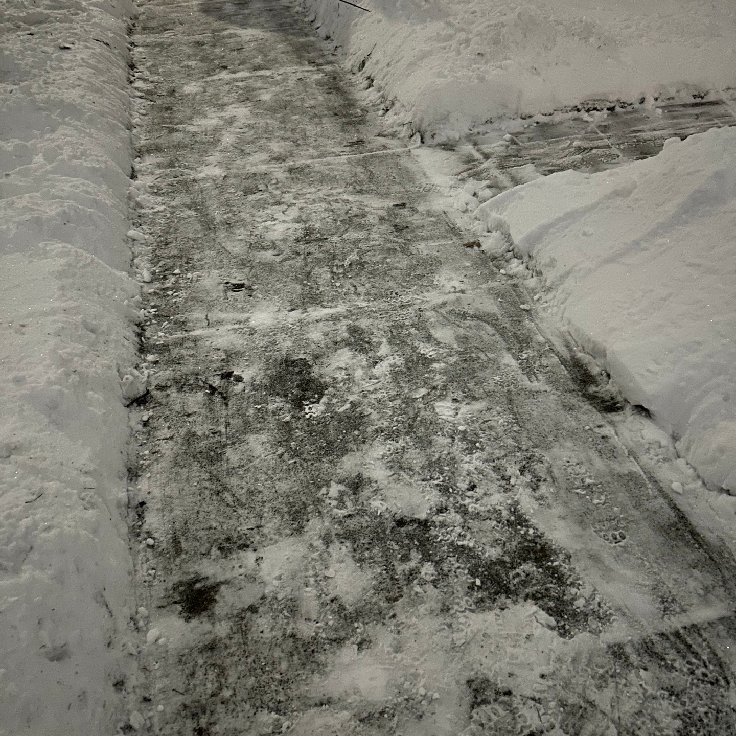 Ferndale Seasonal Brand Identity 2