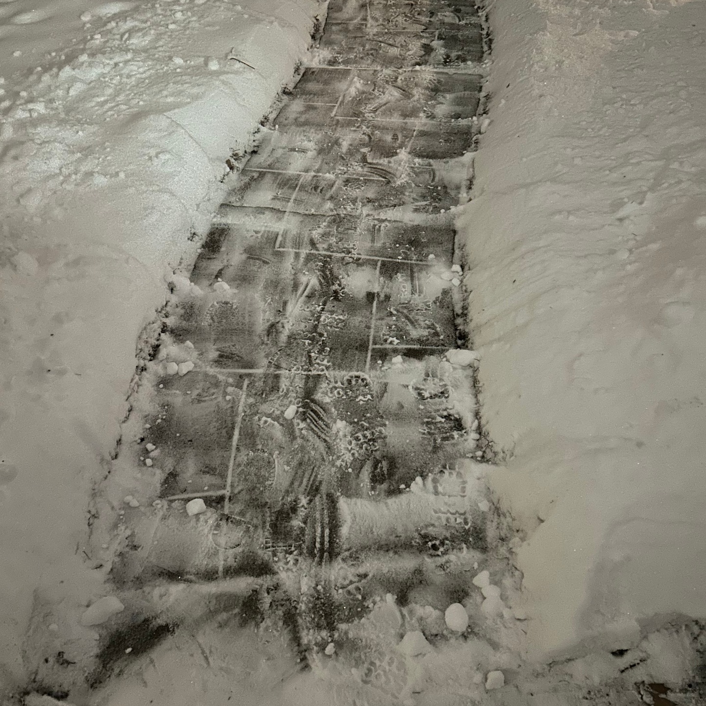 Ferndale Seasonal Brand Identity 3