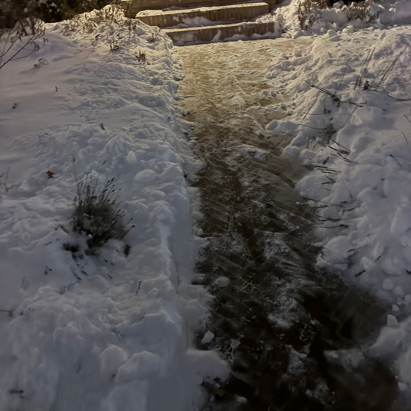 Ferndale Seasonal Results 1