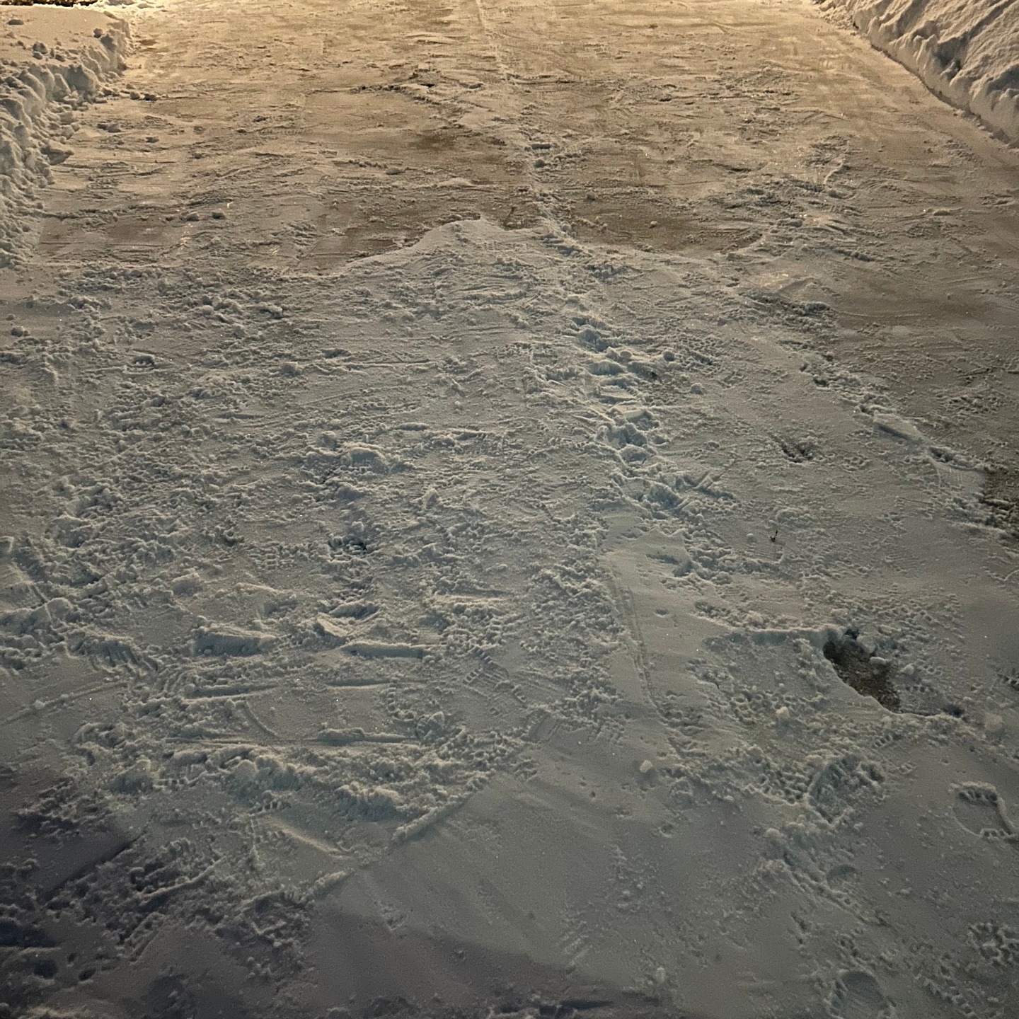 Ferndale Seasonal Results 2